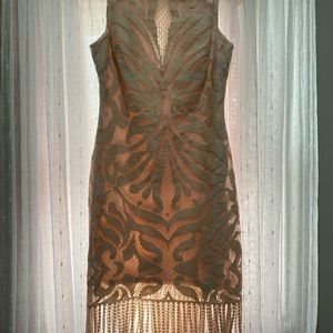 Julia Jordan pink fringe lace dress